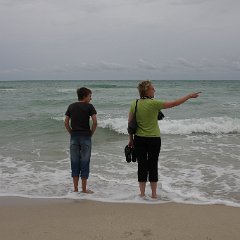 img 9049 : Florida 2011